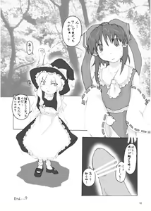 Page 17 of Touhou Dankonju - preview thumbnail