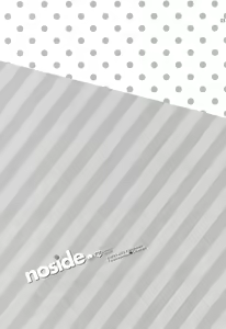Page 2 of noside - preview thumbnail