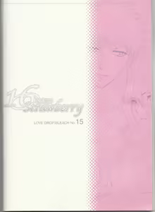 Page 43 of 16Strawberry - preview thumbnail