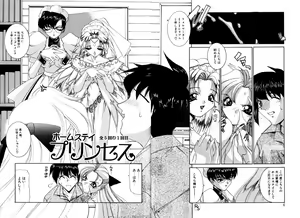 Page 7 of Princess & Lady - preview thumbnail