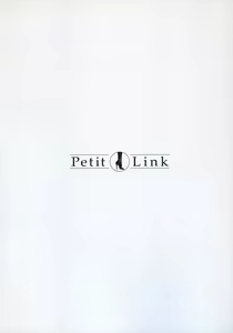 Page 100 of Petit Link 2 - preview thumbnail
