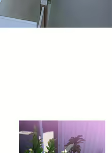 Page 79 of 【周二连载】阿姨的家教课（作者：XIX&漢水） 第1~29话 - preview thumbnail