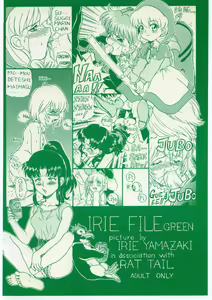 Page 68 of IRIE FILE GREEN - preview thumbnail
