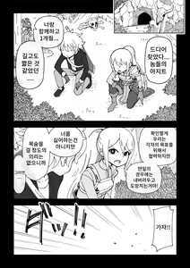 Page 12 of Reizoku Musume Fukutsu no Onna Kenshi - preview thumbnail