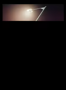Page 52 of Canine Tooth Manhwa Sex scene - preview thumbnail
