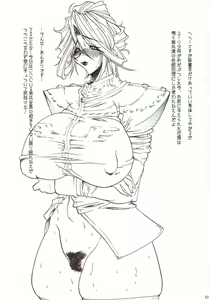 Page 52 of Shiruhime Daizenshuu - preview thumbnail