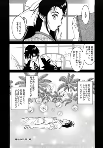 Page 171 of THE ARK FILE G - preview thumbnail