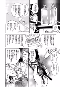 Page 33 of THE ARK FILE G - preview thumbnail