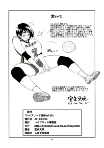 Page 17 of Hybrid tsuushin Vol. 20 - preview thumbnail