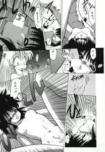 Page 17 of FLYING APPLE - preview thumbnail
