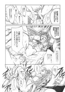Page 16 of 聖王妃 エルレイン（田宮秋人）   Princess St - preview thumbnail