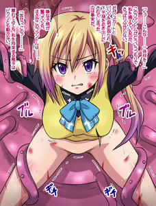 Page 3 of Haiboku Shita Shoujo no Matsuro - preview thumbnail