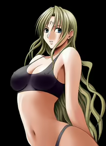 Sephiria Fight — hentai manga cover on Fhentai