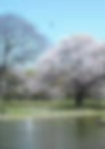 Page 29 of Four Seasons - preview thumbnail