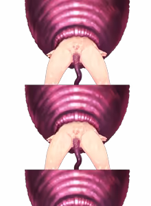 Page 903 of Inmon Kishi to Hentai Maou - preview thumbnail