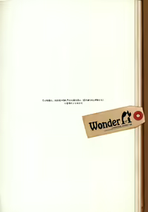 Page 3 of Wonder A - preview thumbnail
