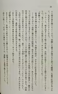 Page 29 of Zenryou Taiken, Minna de Tabete 5 - preview thumbnail