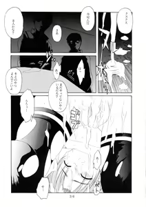 Page 36 of C-BOOK Shi bon - preview thumbnail
