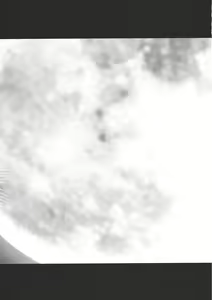 Page 31 of Scarlet Fatalism - preview thumbnail