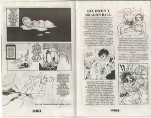 Page 4 of DRAGONBALL H Bessatsu Soushuuhen - preview thumbnail