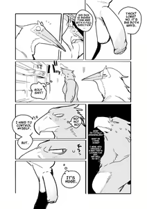Page 3 of Pelican and White-tailed Eagle (uncensored) - preview thumbnail