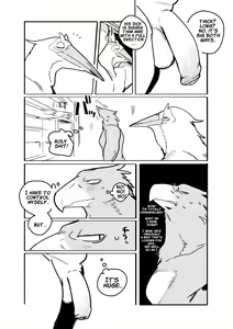 Page 2 of Pelican and White-tailed Eagle - preview thumbnail