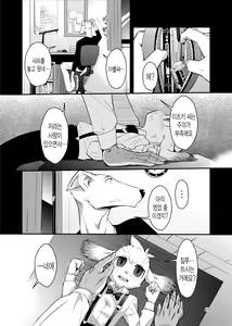 Page 11 of Harubon Omnibus : No.8 | 하루본 옴니버스 : No.8 - preview thumbnail