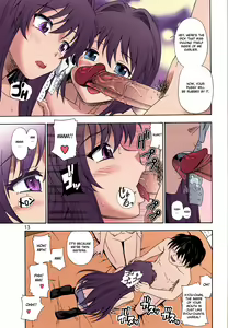 Page 12 of Fujibayashi Nado - Fujibayashi Twins After Story (decensored) - preview thumbnail