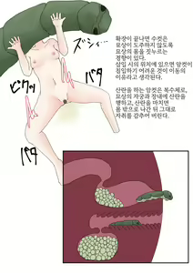 Page 12 of Oomushikaisetuzukan - preview thumbnail