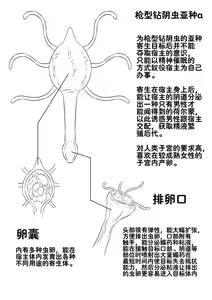 Page 24 of 寄生虫番外--邻居（上） - preview thumbnail