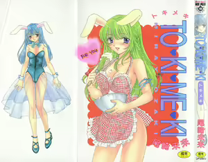 TO♥KI♥ME♥KI — hentai manga cover on Fhentai