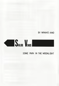 Page 5 of COLLECTION OF -SAILORMOON- ILLUSTRATIONS FOR ADULT Vol. 1 - preview thumbnail