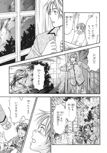Page 441 of BE・BOY GOLD 2007-08 - preview thumbnail