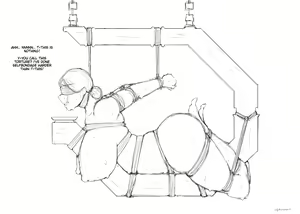 Page 371 of CG - preview thumbnail