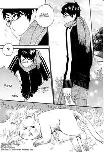 Page 6 of Puchi D VOL. 4 Kemonomimi - preview thumbnail