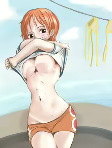 Nami's Travels — hentai manga cover on Fhentai