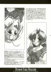 Page 24 of Dummy Fake Rollers - preview thumbnail