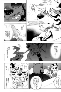 Page 98 of Otoko Matsuri Bangaigou featuring TKA - preview thumbnail