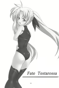 Page 19 of FORTISSIMO - preview thumbnail