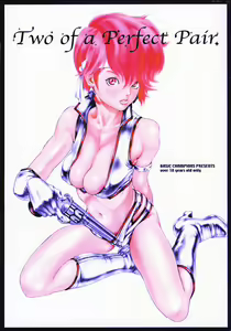 Two of a Perfect Pair - hentai manga cover image