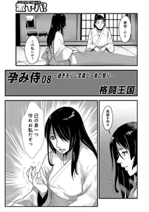 Harami samurai 08 ~Sugisarishi Renbou to Ichiya no Chigiri~ — hentai manga cover on Fhentai