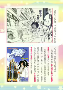 Page 996 of 2D Dream Magazine Vol. 119 - preview thumbnail
