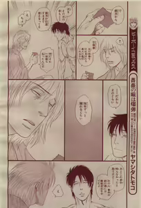 Page 384 of BE・BOY GOLD 2009-04 - preview thumbnail