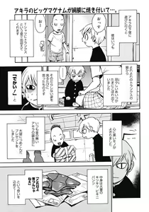 Page 223 of COMIC Megastore 2008-04 - preview thumbnail