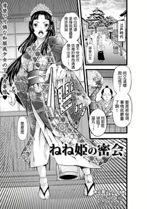Nene-hime no Mikkai — hentai manga cover on Fhentai