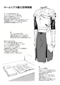 Page 17 of Romnius Kishidan Bangaihen - preview thumbnail
