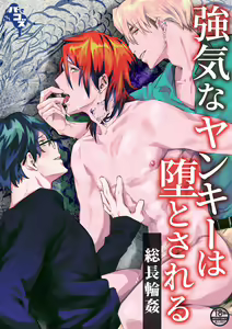 Tsuyoki na Yankee wa Otosareru Souchou Rinkan | 霸气不良的堕落-总长轮奸 — hentai manga cover on Fhentai