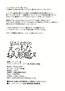 Page 22 of Nii-san to Boku no Ecchi na Oningyou Asobi - preview thumbnail
