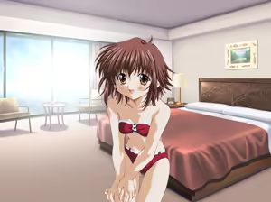 Page 10 of Siscom Prince - preview thumbnail