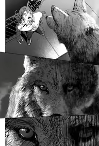 Page 108 of Coyote II - preview thumbnail